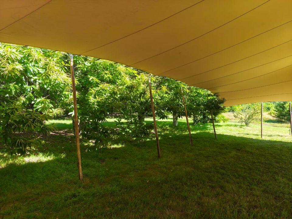 Sombra tensada para eventos instalada en un jardín
